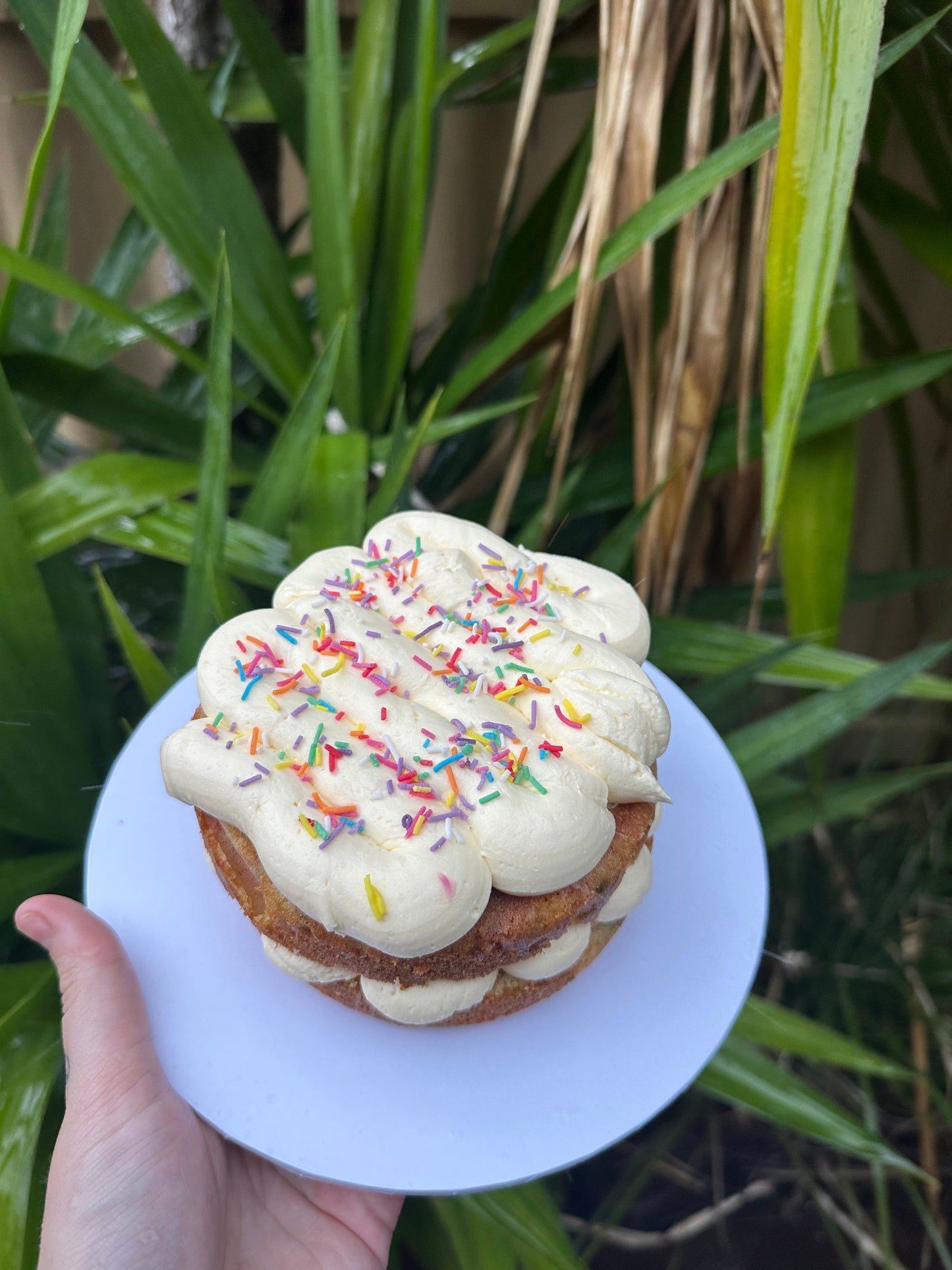Birthday Cake