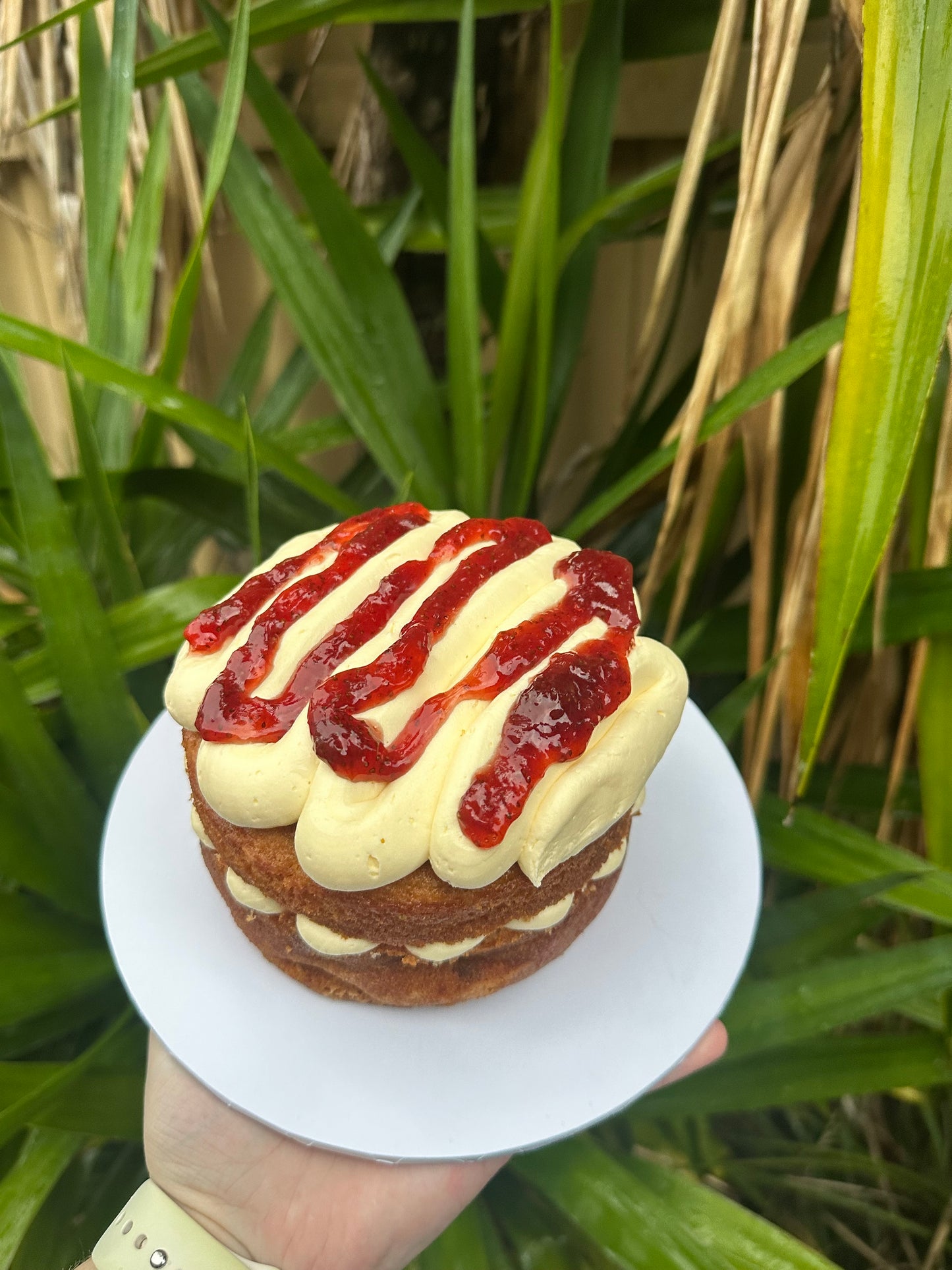 Strawberry Cake