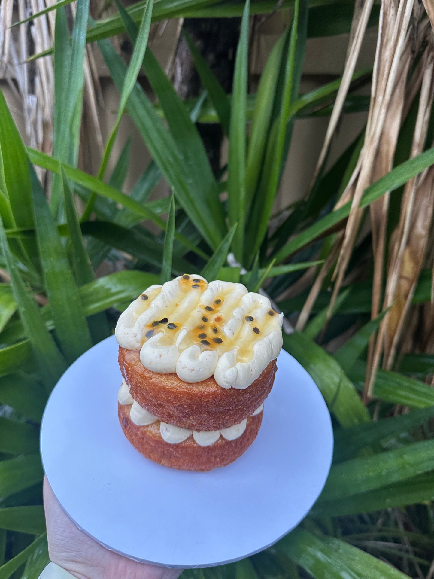 Passion fruit Cake