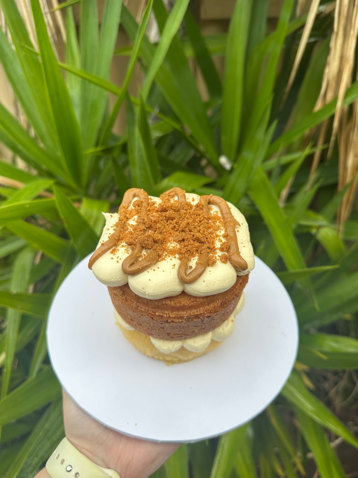 Biscoff Cake